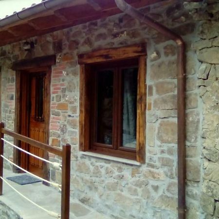 Villa La Rama Del Castor à Espinama Extérieur photo